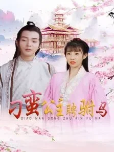 刁蛮公主聘驸马电视剧海报