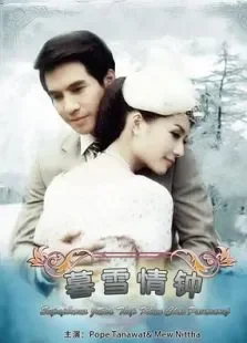 名门绅士之暮雪情钟电视剧海报