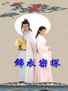 锦衣密探电视剧海报