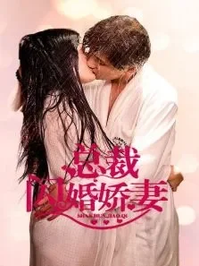总裁的闪婚娇妻电视剧海报