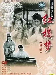 红楼梦01版电视剧海报