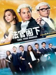 是咁的，法官阁下电视剧海报