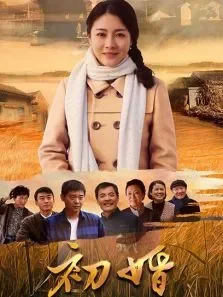 初婚电视剧海报