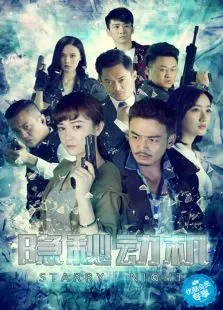 隐秘动机电视剧海报