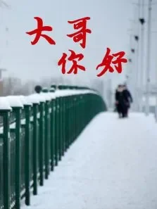 大哥你好电视剧海报