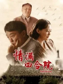 傻柱电视剧海报