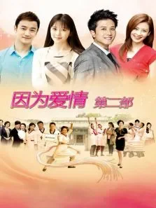 因为爱情有奇迹TV版电视剧海报