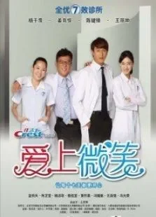 爱上微笑电视剧海报