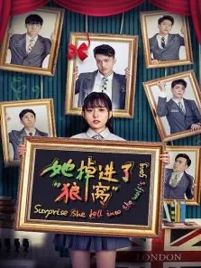 她掉进了狼窝电视剧海报