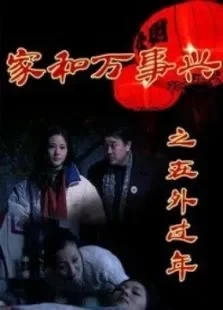家和万事兴之在外过年电视剧海报