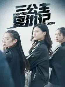 三公主复仇记电视剧海报