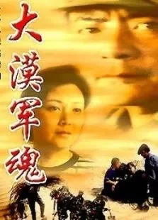 大漠军魂电视剧海报
