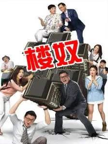 楼奴电视剧海报