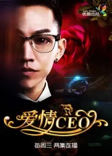 爱情CEO电视剧海报