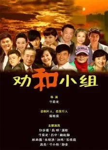 劝和小组DVD版电视剧海报