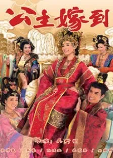 公主嫁到电视剧海报