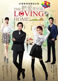 把爱带回家DVD版电视剧海报