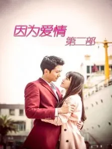 因为爱情有奇迹DVD版电视剧海报