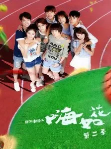 囧女翻身之嗨如花第二季电视剧海报