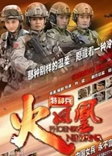特种兵之火凤凰DVD版电视剧海报