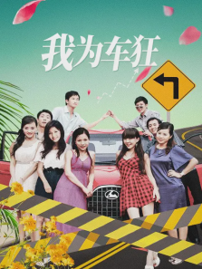 我为车狂