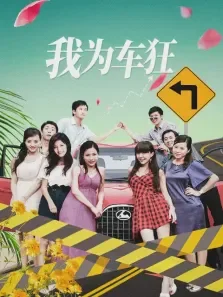 我为车狂电视剧海报