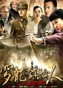 罗龙镇的女人电视剧海报