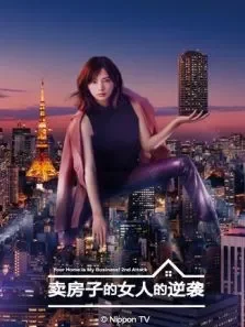 卖房子的女人的逆袭电视剧海报