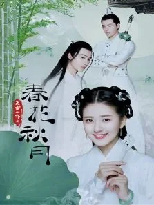 天雷一部之春花秋月电视剧海报