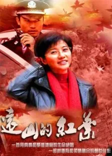 远山的红叶电视剧海报