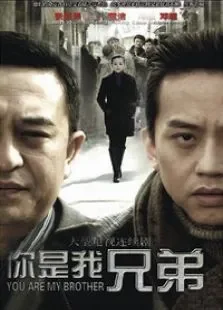 你是我兄弟电视剧海报