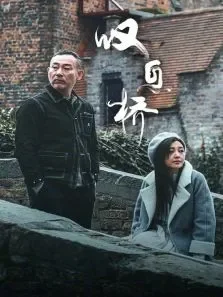 叹息桥电视剧海报