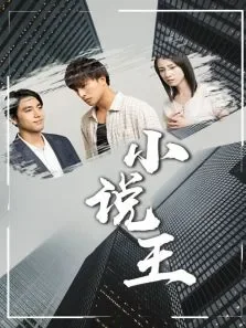 小说王电视剧海报