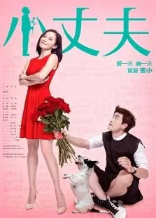 小丈夫未删减版电视剧海报