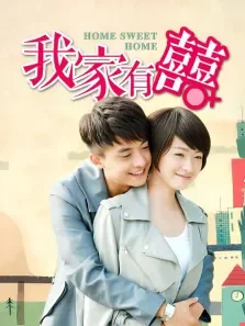 我家有喜TV版电视剧海报