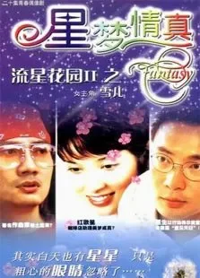 星梦情真电视剧海报