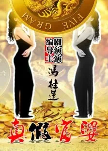 真假富婆电视剧海报