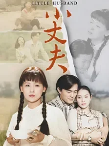 小丈夫电视剧海报
