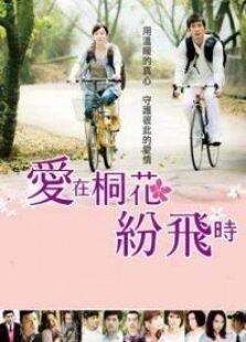 爱在桐花纷飞时（许慧欣修杰楷）