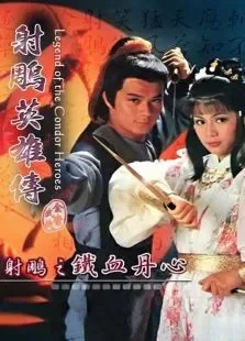 射雕英雄传之铁血丹心电视剧海报