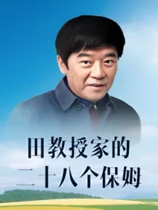 田教授家的28个保姆电视剧海报