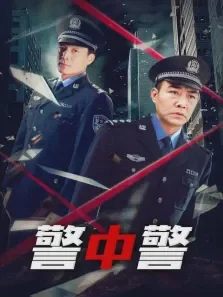 警中警电视剧海报