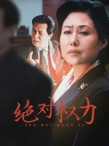 绝对权力电视剧海报