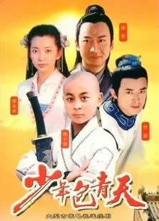 少年包青天1电视剧海报