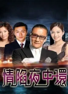 情陷夜中环第一部电视剧海报
