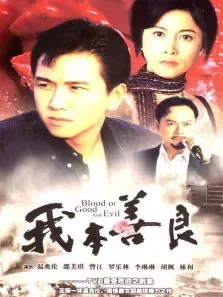 我本善良电视剧海报