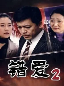 错爱第二部电视剧海报