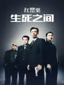 红罂粟之生死之间电视剧海报