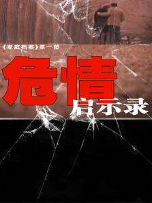 危情启示录