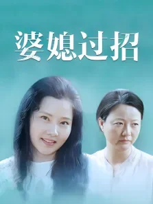 婆媳过招（何赛飞周笑莉）电视剧海报
